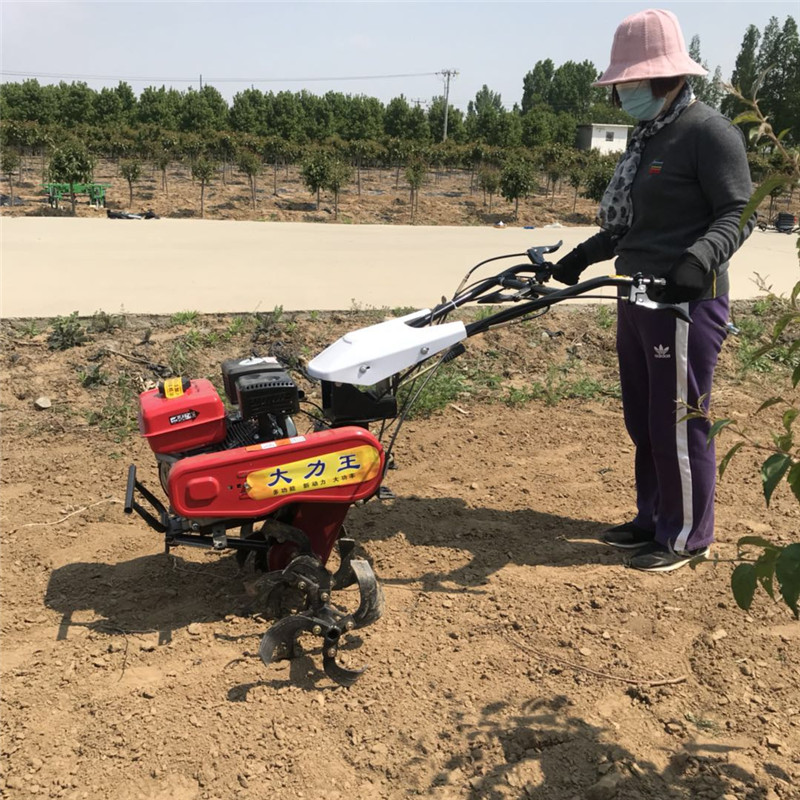 小型手扶微耕机 四驱微耕机 小型翻地机