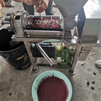 蓝莓榨汁机 大产量 不锈钢螺旋压榨机厂家直销