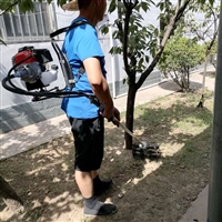  鑫嘉强直销果园 背负式割草机 公园小区物业除草机视频