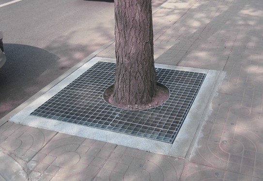 枣强护树池格栅