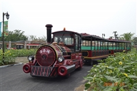 森林小火车 无轨小火车生产 观光小火车厂家 无轨小火车价格