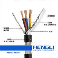 IJYVRPL22高温信号电缆PVC铠装护套4mm2