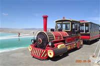 河北旅游观光火车 天津森林小火车