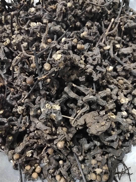 平地木功效   平地木价格