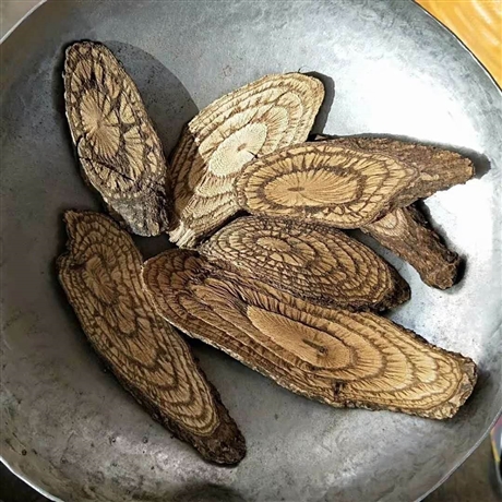 野生麻骨风多少钱一斤