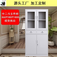 福建文件柜 办公室财务凭证柜 资料档案柜 铁皮柜厂家定制