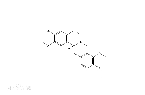 延胡索乙素天然植物原料