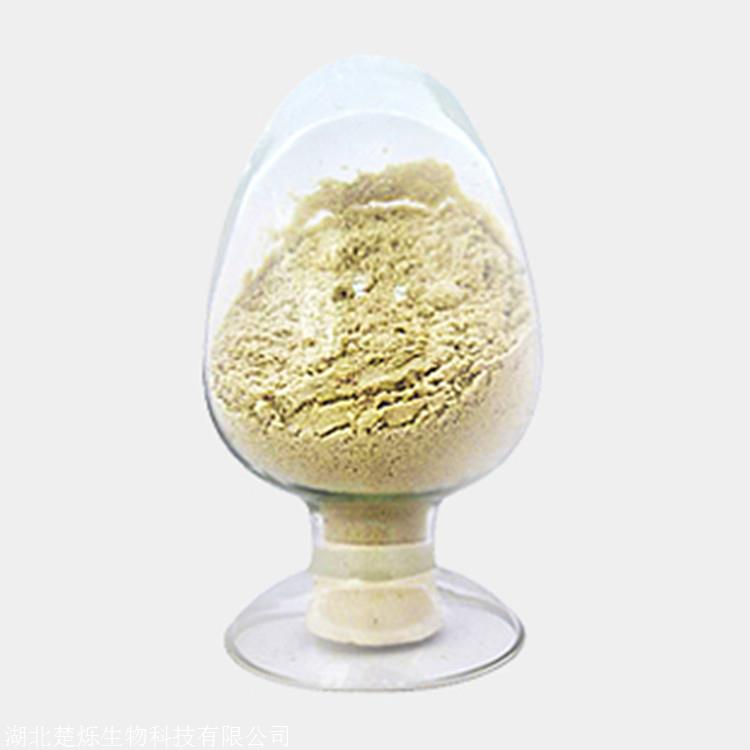 脂肪酶厂家供应湖北楚烁