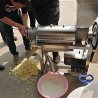 304不锈钢榨汁机厂家 芦荟木瓜西蓝花商用压榨机