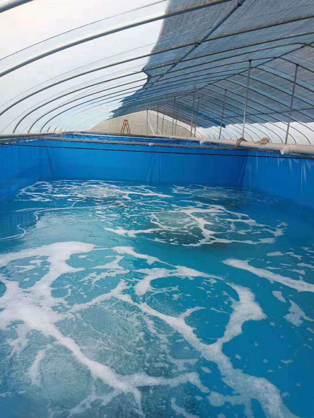 新时代高密度养鱼帆布水池圆形池