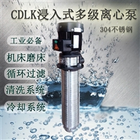 水过滤泵清洗装置多级离心泵CDLK2-130/13浸入加工输送泵