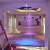 光波单人远红外线汗蒸房 移动汗蒸柜 个性化定制