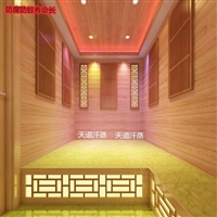 宜昌汗蒸光波房 韩式汗蒸房 22层汗蒸房结构
