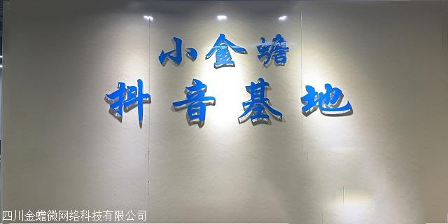 金蟾抖音群控软件