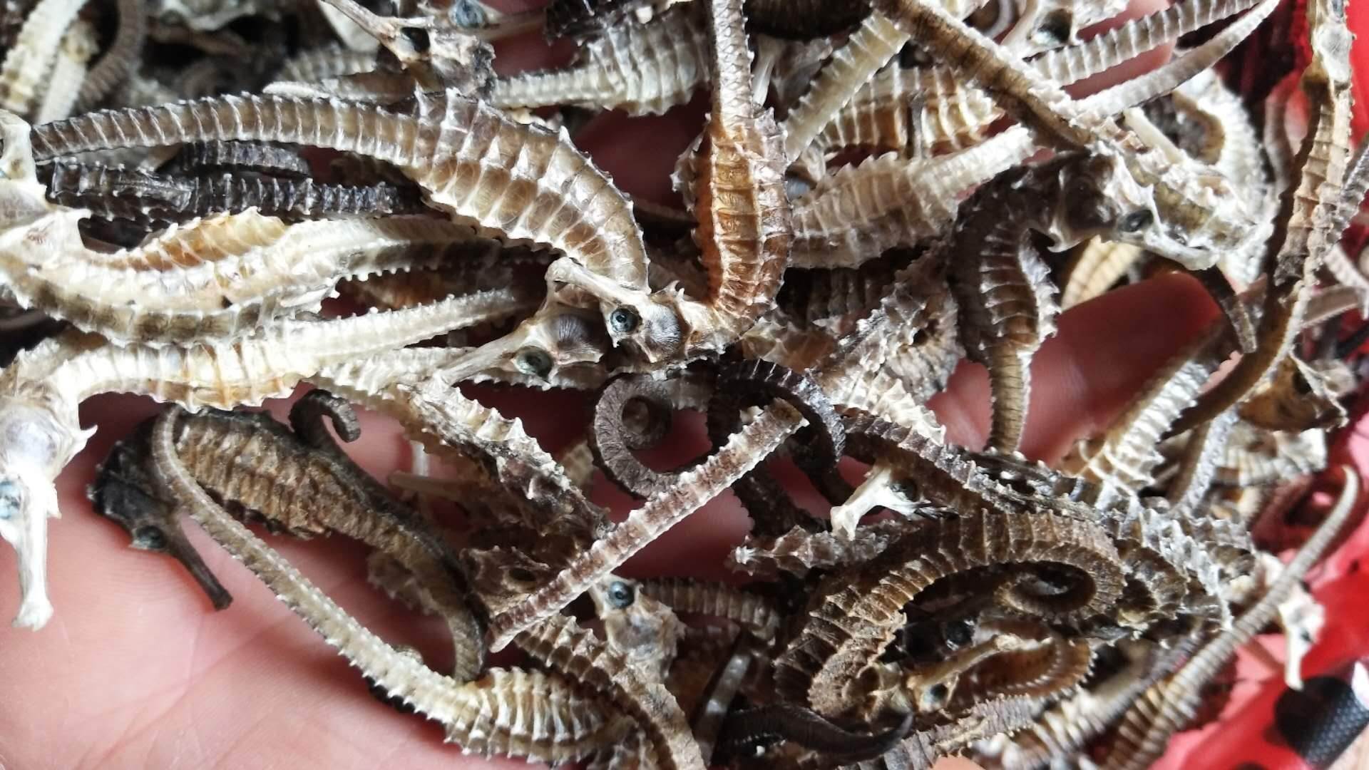 水牛角的功效作用