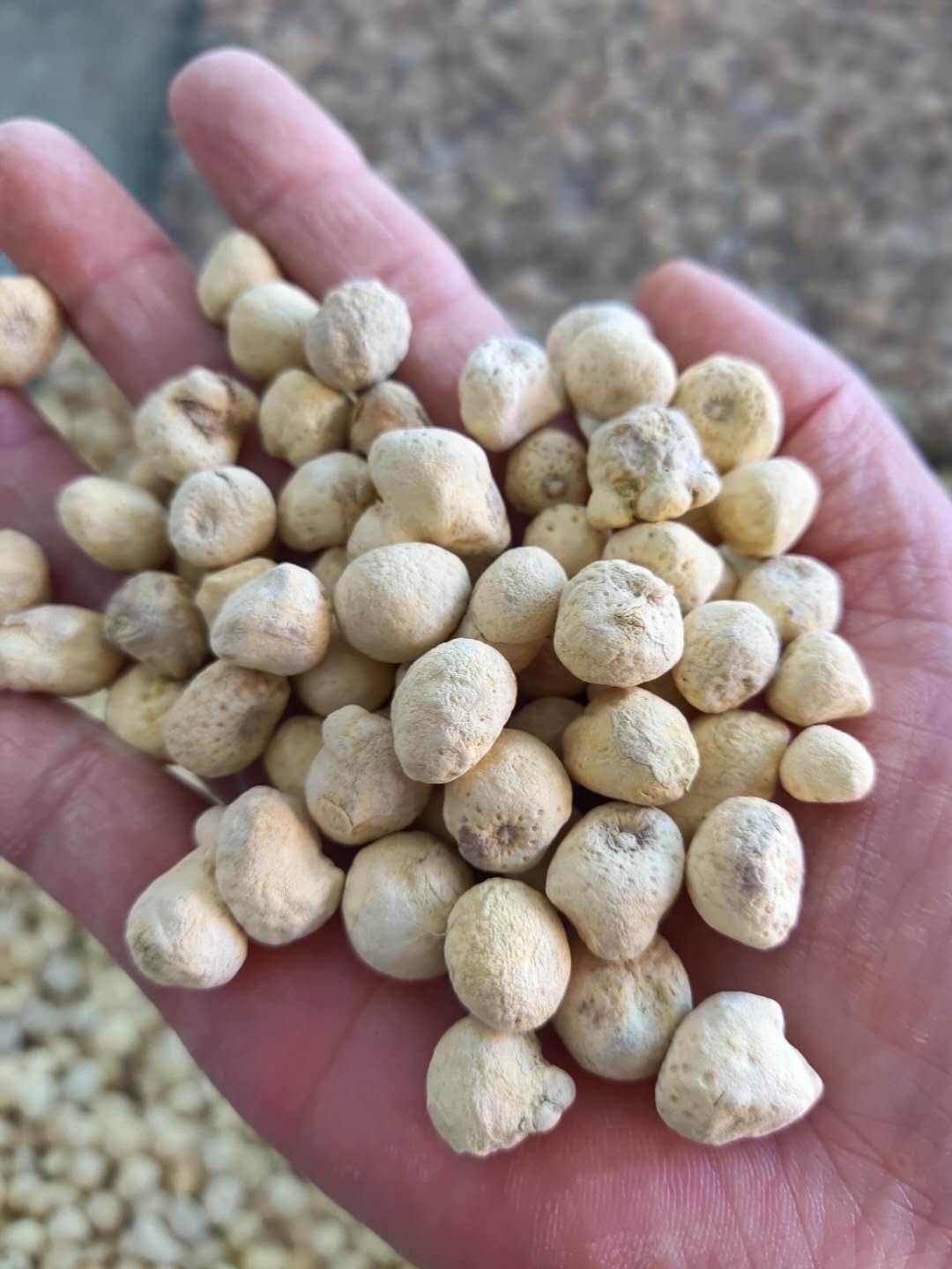 中药材半夏的价格半夏的功效与作用