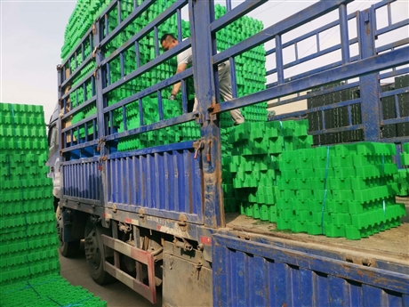 山东7公分5公分植草格批发