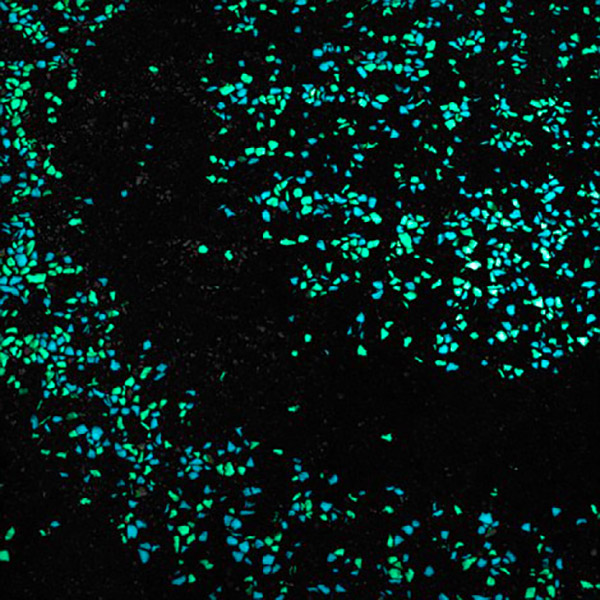 小区夜光跑道施工,夜光跑道怎么做,荧光跑道铺设方法