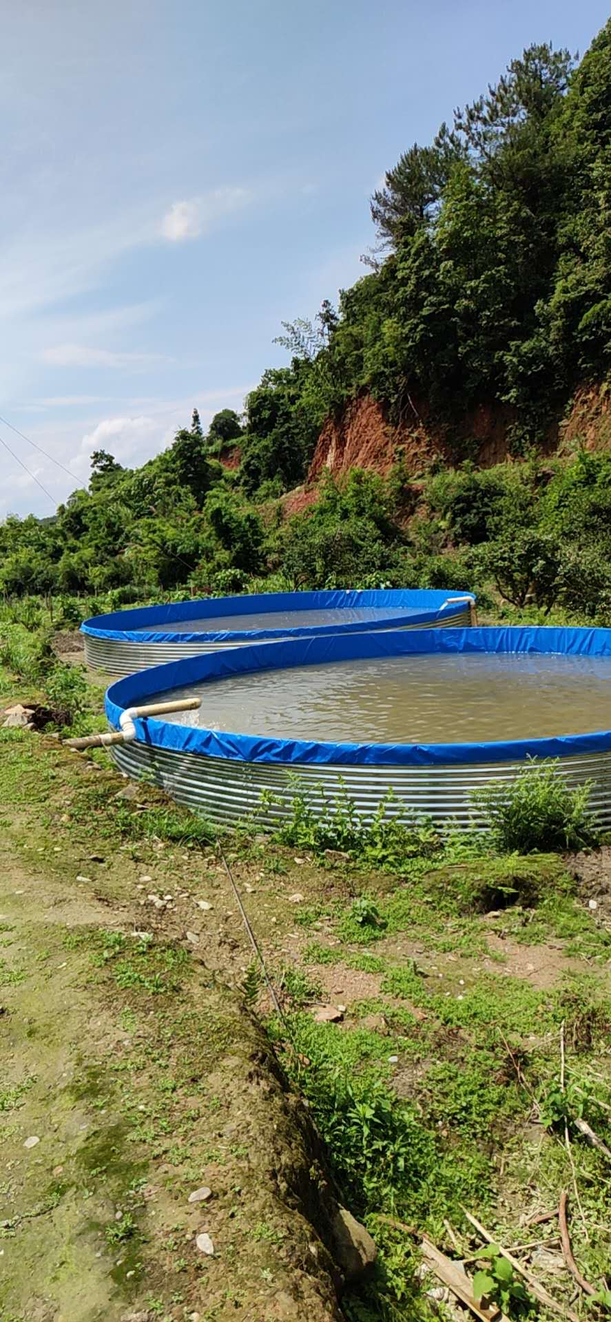 福建大型高密度养鱼帆布鱼池厂家