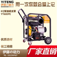 6寸柴油机自吸泵应急排水泵伊藤动力YT60DPE