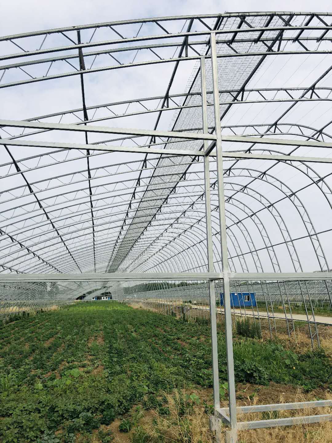 寿光温室大棚蔬菜大棚新型大棚