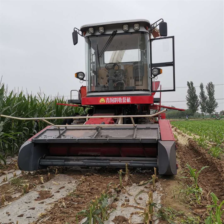 厂家供应苜蓿草青储机 青饲料收割机