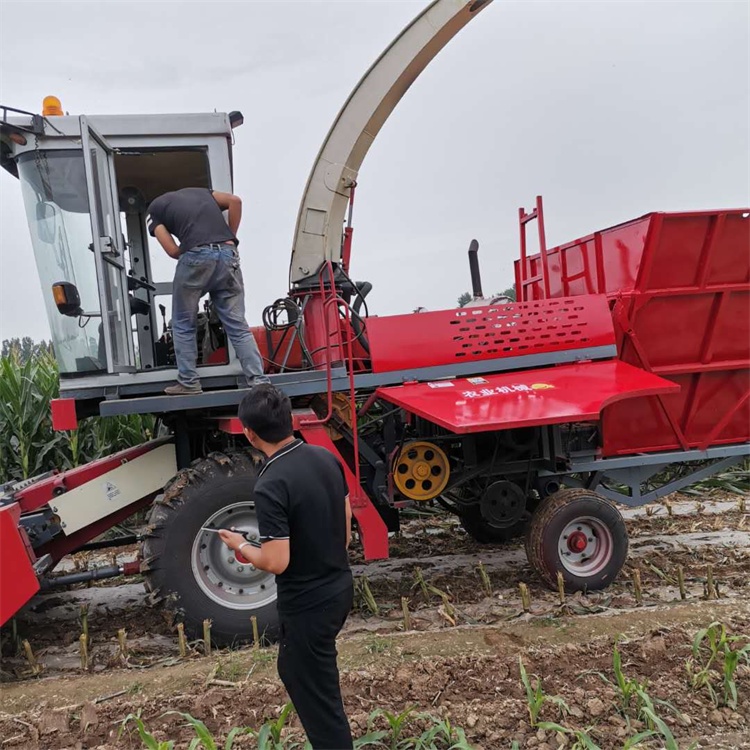 厂家供应苜蓿草青储机 青饲料收割机