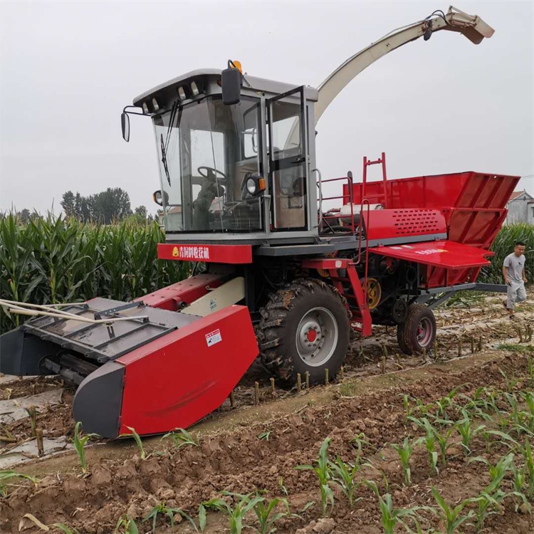 厂家供应苜蓿草青储机 青饲料收割机