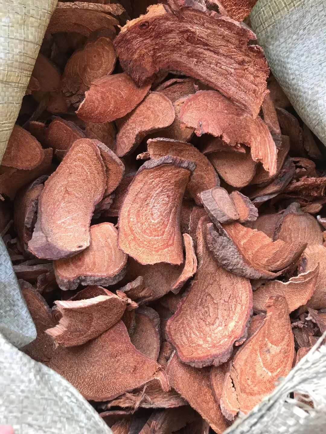 中药材巴豆霜功效与作用-搜了网