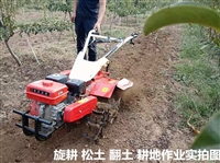 8马力旋耕机 果园除草微耕机 汽油耕地机 柴油多功能
