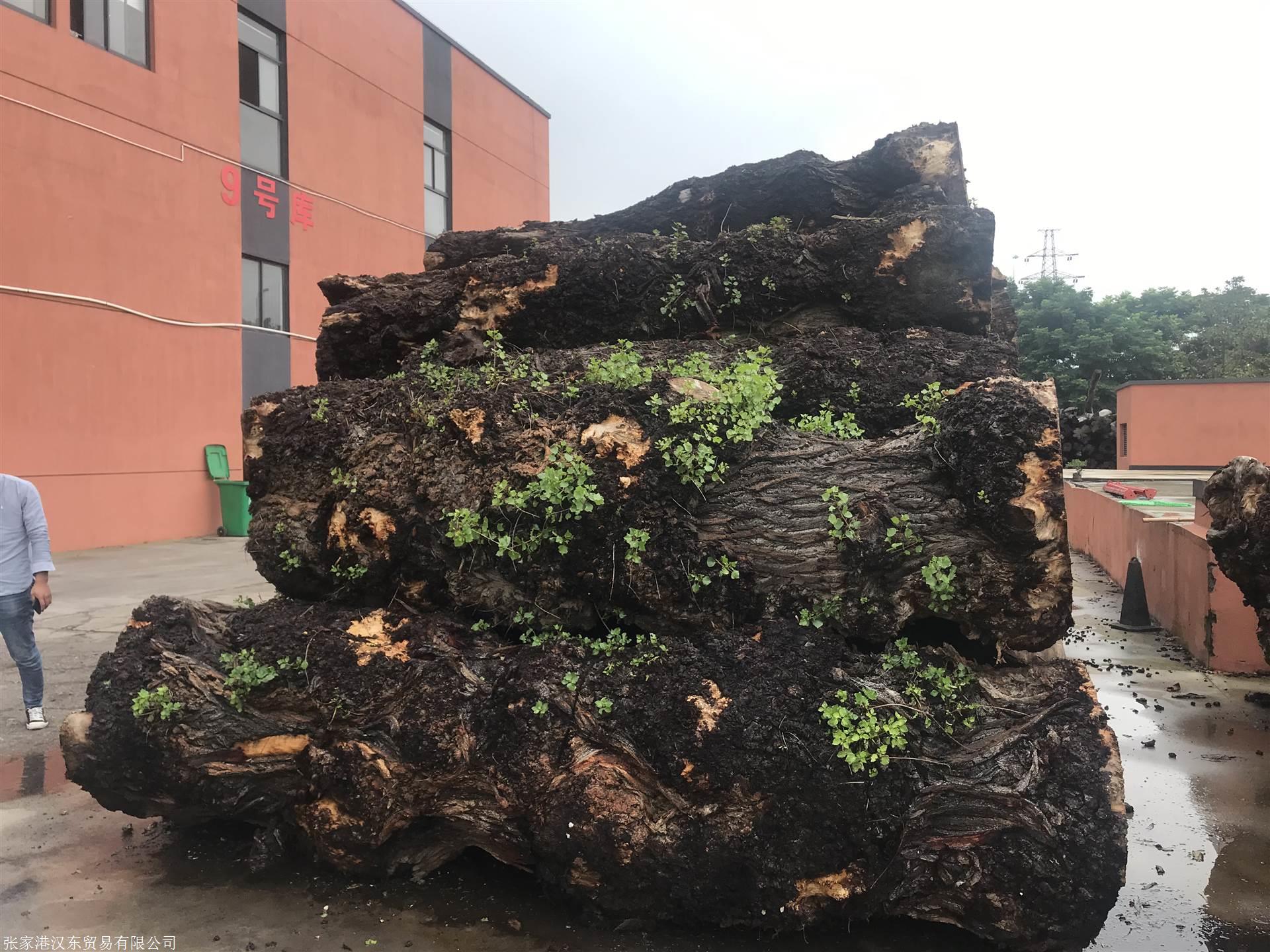 欧洲枫木_欧风精品树瘤-汉威木业