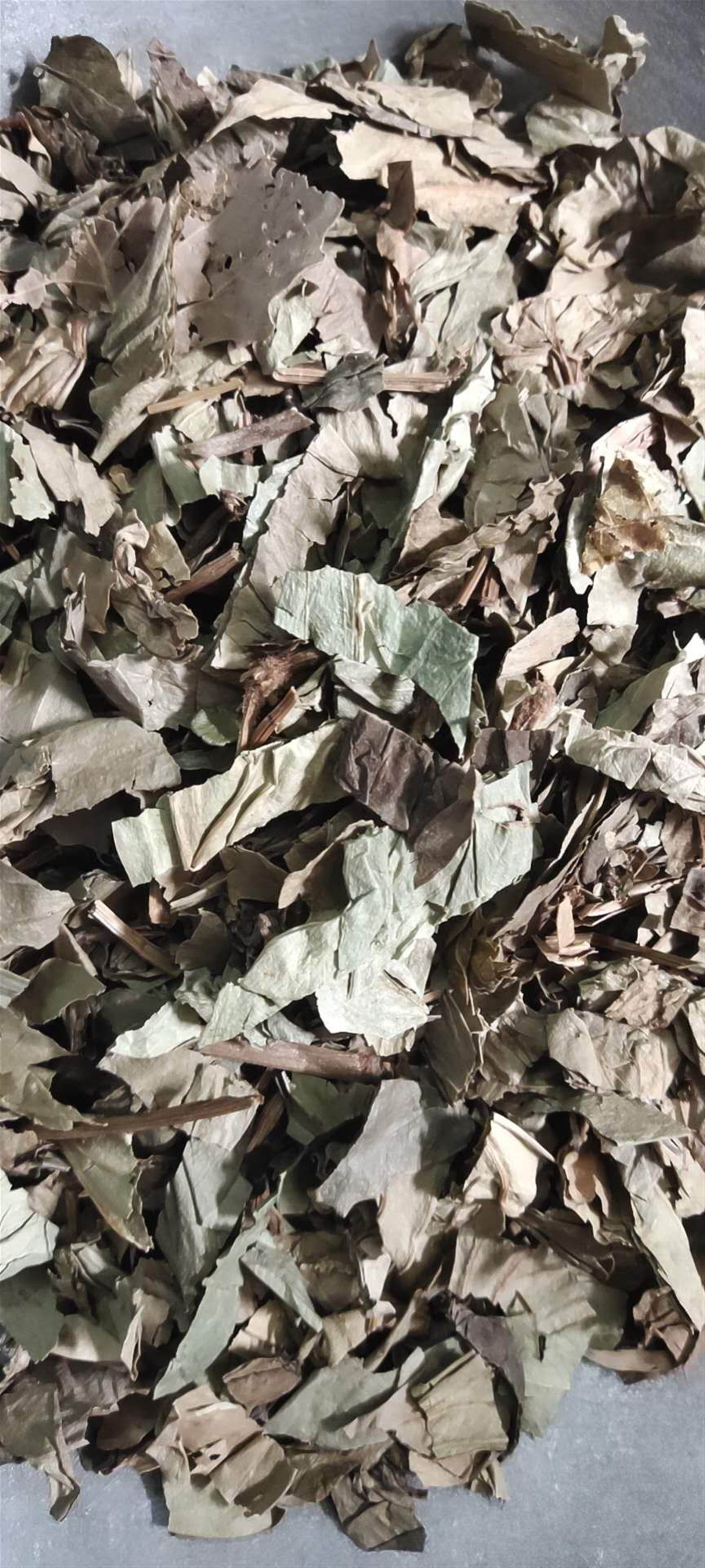 中药材批发黑骨藤 黑骨藤的产地