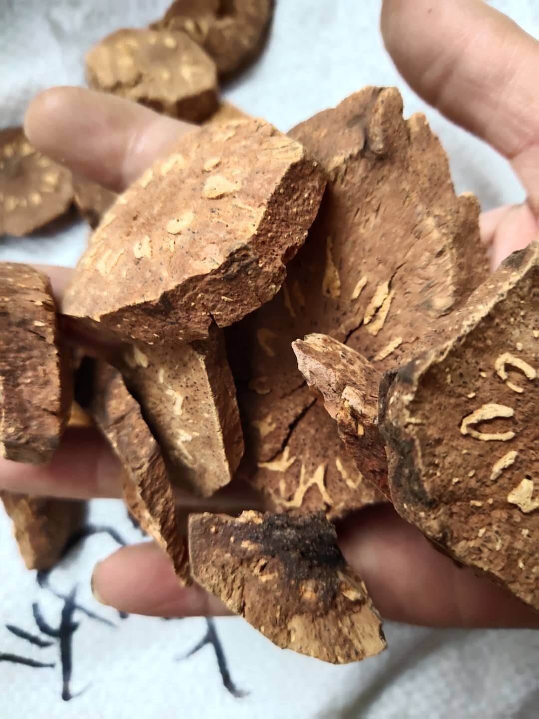 虎爪风的功效与作用虎爪风的产地