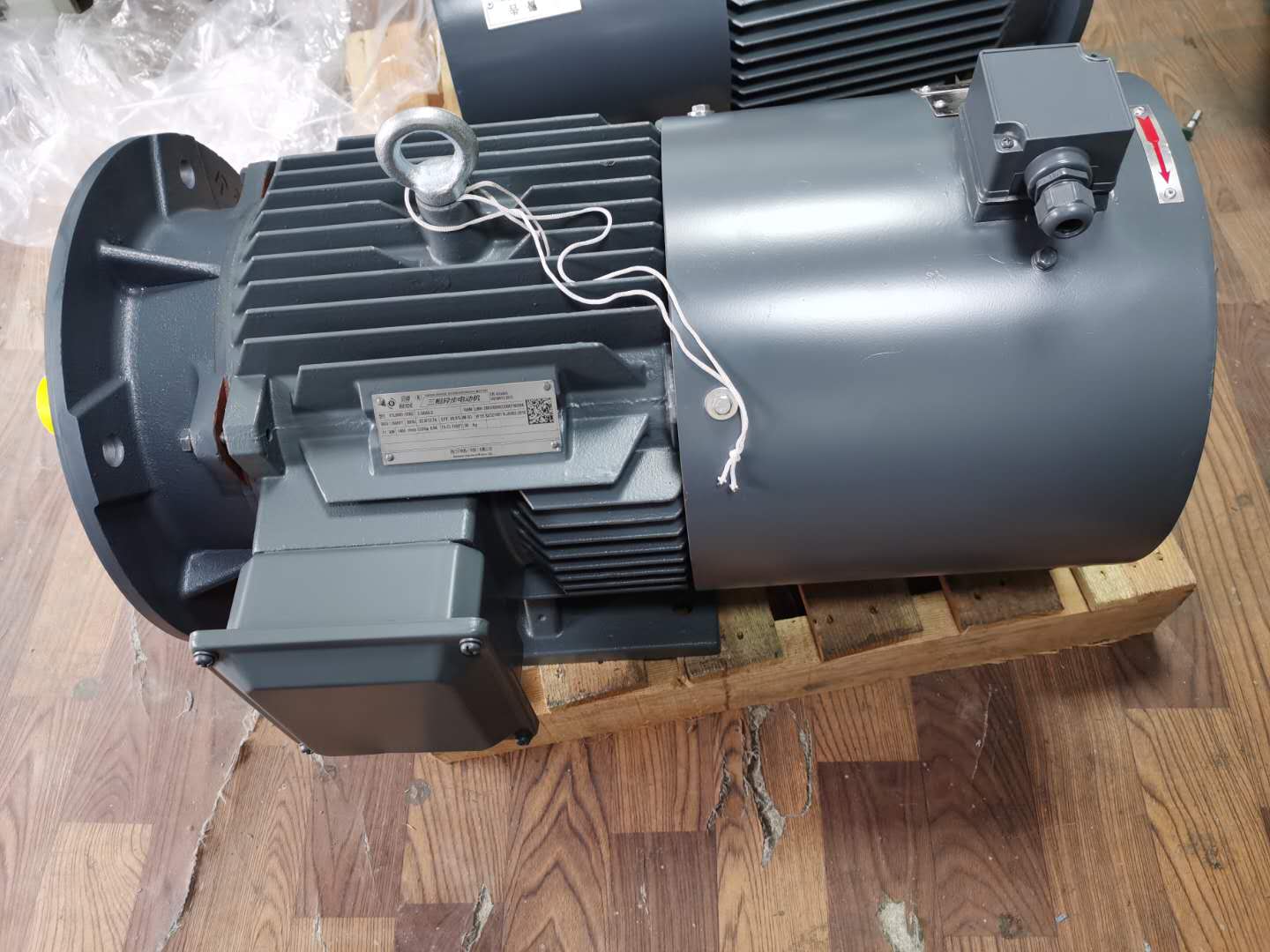 西门子贝得隔爆电机1mt0001055kw315kw4p卧式立式立卧式