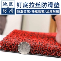 钉底丝圈防滑地垫 汽车pvc防滑地垫 河南郑州订做价格 地医