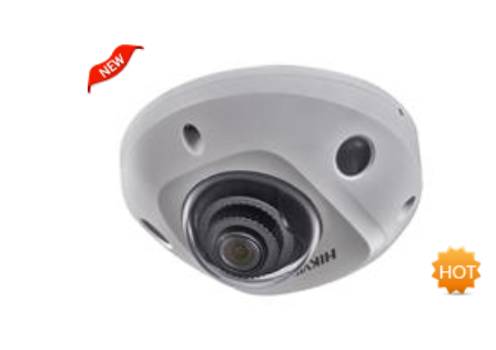 DS-2CD3526FWDA1-IS/DT 海康威视200万智能迷你半球 电瓶车检测