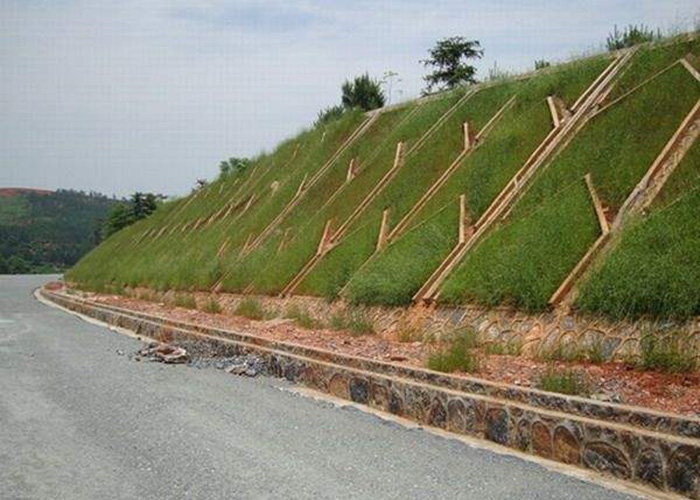 河道护坡施工 边坡防护网工程厂家 边坡植草 边坡绿化