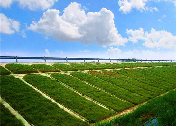 边坡加固 山体边坡防护网厂 贵阳边坡绿化 路堑边坡防护 柔性主动