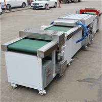 高效率万通板平板清洗机 PP板清洗机 中空板 钢带清洗机