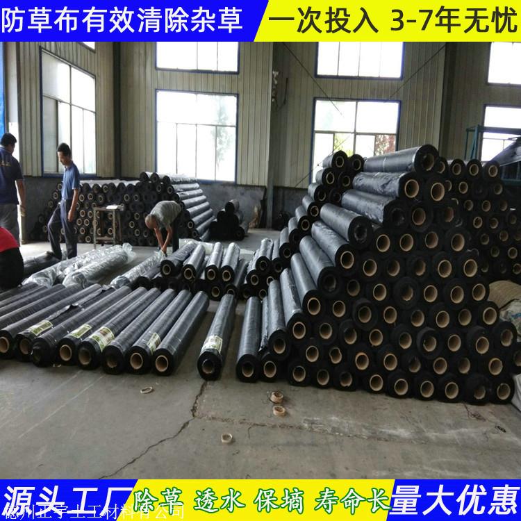 浙江防草布厂家 0.8米宽防草地布 聚乙烯地布