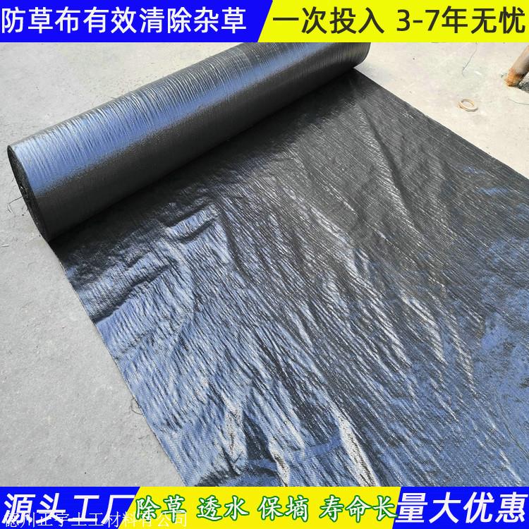 浙江防草布厂家 0.8米宽防草地布 聚乙烯地布