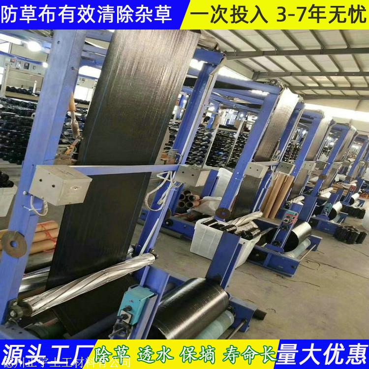 浙江防草布厂家 0.8米宽防草地布 聚乙烯地布