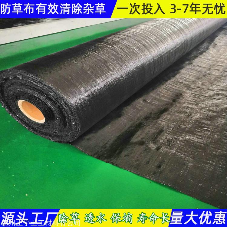 浙江防草布厂家 0.8米宽防草地布 聚乙烯地布