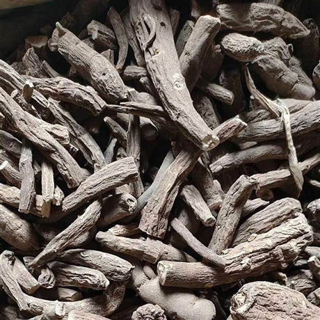 中药材批发盘龙七