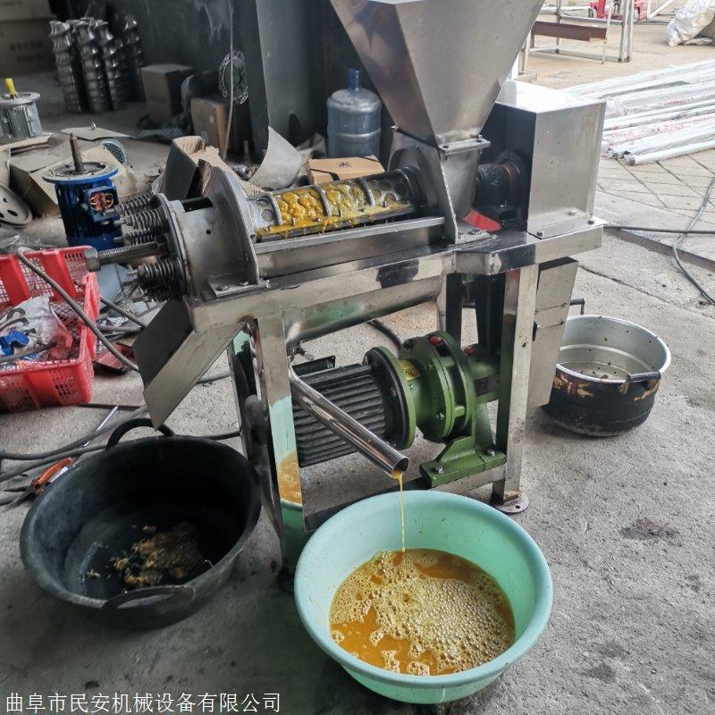 蔬菜破碎榨汁机直销 沙棘果凤梨樱桃李大型打浆机 