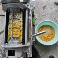 南方地区水果大型榨汁机 不锈钢鸭梨榨汁机 破碎机厂家