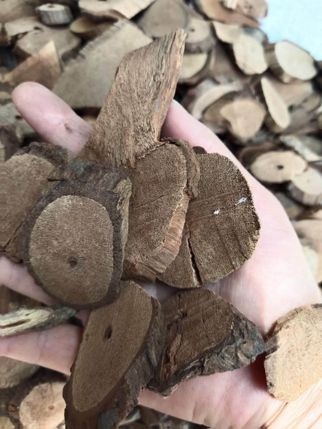 3吨-15吨污泥运输车生产厂家