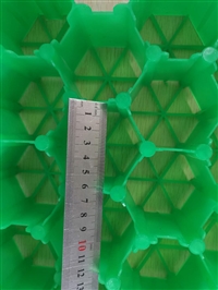 塑料7公分5公分植草格厂家