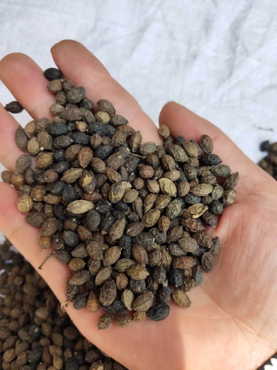 花椒价格供应香辛料花椒