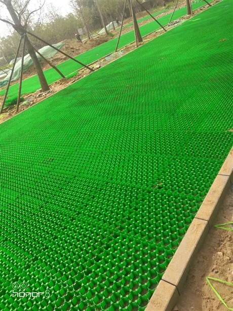 消防通道塑料植草格厂家